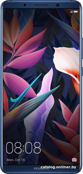 Замена стекла экрана Huawei Mate 10 Pro
